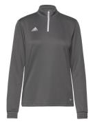 Ent22 Tr Top W Sport T-shirts & Tops Long-sleeved Grey Adidas Performa...