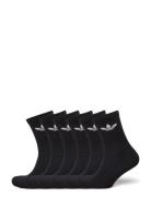 Trefoil Crew Sock Cushion 6 Pair Pack Sport Socks Regular Socks Black ...