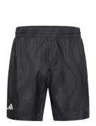 Club Graphic Shorts Sport Shorts Sport Shorts Black Adidas Performance