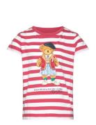 Striped Polo Bear Cotton Jersey Tee Tops T-shirts Short-sleeved Red Ra...