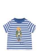 Striped Polo Bear Cotton Jersey Tee Tops T-shirts Short-sleeved Blue R...