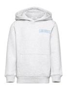 Blake Hoodie Kids 2.0 Tops Sweat-shirts & Hoodies Hoodies Grey Les Deu...