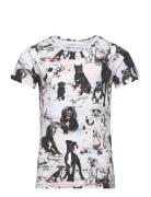 Print T-Shirt Tops T-shirts Short-sleeved Multi/patterned Gugguu