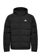 Helionic Ho Jkt Sport Jackets Padded Jackets Black Adidas Sportswear