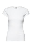 Fine Rib Tee Designers T-shirts & Tops Short-sleeved White Filippa K