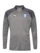 Teamcup Training Jacket Sport Sweat-shirts & Hoodies Sweat-shirts Grey...