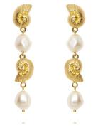 Shell Pearl Earrings Örhänge Smycken Gold Caroline Svedbom