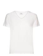 Saint Tropez Adeliasz V-N T-Shirt Vit