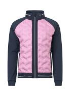 Lds Grove Hybrid Jacket Sport Sport Jackets Pink Abacus