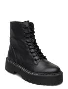 Skylar Bootie Shoes Boots Ankle Boots Laced Boots Black Steve Madden