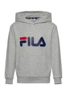 FILA Baj Classic Logo Hoody Grå