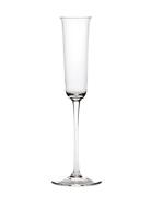Champagne Flute Grace Set/4 Home Tableware Glass Champagne Glass Nude ...