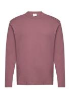 100% Cotton Long-Sleeved T-Shirt Tops T-shirts Long-sleeved Purple Man...