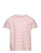 Creamie T-Shirt Ss Stripe Rosa