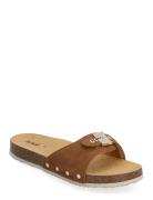 Scholl Sl Pescura Margot Suede Brun