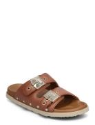 Scholl Sl Pescura Elisabeth Leather Brun