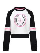 Juicy Couture Juicy Colour Block Raglan Crew Bb Multi/patterned