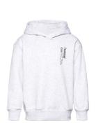 Hmldante Hoodie Sport Sweat-shirts & Hoodies Hoodies Grey Hummel