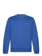 Sweatshirts Tops Sweat-shirts & Hoodies Sweat-shirts Blue Lacoste