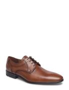 Osmond Shoes Business Laced Shoes Brown Lloyd