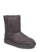 #K Classic Ii Vinterstövlar Pull On Grey UGG