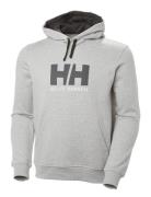 Hh Logo Hoodie Sport Sweat-shirts & Hoodies Hoodies Grey Helly Hansen