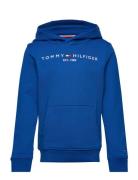 Essential Hoodie Tops Sweat-shirts & Hoodies Hoodies Blue Tommy Hilfig...