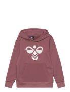 Hummel Hmlcuatro Hoodie Burgundy