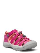 Ke Newport H2 C Berry-Fusion  Shoes Summer Shoes Sandals Pink KEEN