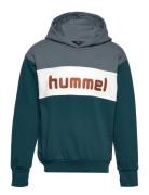 Hmlmorten Hoodie Sport Sweat-shirts & Hoodies Hoodies Multi/patterned ...