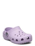 Crocs Classic Clog T Lila