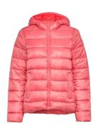 Hooded Polyfilled Jacket Sport Jackets Padded Jacket Pink Champion