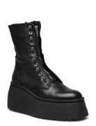 Pearl Bootie Shoes Boots Ankle Boots Ankle Boots Flat Heel Black Steve...