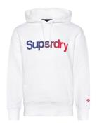 Superdry Core Logo Loose Hood Vit