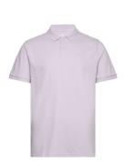 Hco. Guys Knits Tops Polos Short-sleeved Purple Hollister