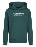 Jjalvis Sweat Hood Jnr Tops Sweat-shirts & Hoodies Hoodies Green Jack ...