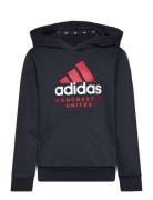 Mufc Kids Hd Tops Sweat-shirts & Hoodies Hoodies Grey Adidas Performan...