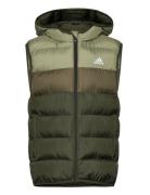 J Sd Vest Fodrad Väst Green Adidas Sportswear