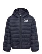 Down Jacket Fodrad Jacka Navy EA7