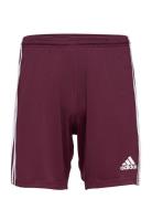 Adidas Performance Squadra 21 Short Röd