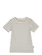 T-Shirt S/S Modal Striped Tops T-shirts Short-sleeved Blue Petit Piao