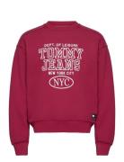 Tommy Jeans Tjm Bxy Wshd Prep Explr Crew Ext Burgundy