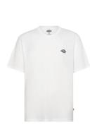 Dickies Summerdale Ss Tee Vit