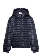 Shiny Light Padded Down Jacket Fodrad Jacka Navy GANT