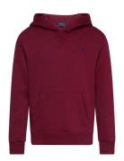 Ralph Lauren Kids Fleece Hoodie Burgundy