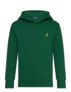 Ralph Lauren Kids Fleece Hoodie Grön