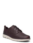 Timberland Low Lace Up Sneaker Brun