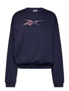 Modern Safari Coveru Sport Sweat-shirts & Hoodies Sweat-shirts Navy Re...