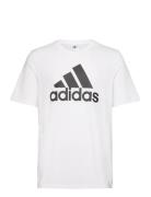 Adidas Sportswear M Bl Sj T Vit