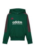 Adidas Sportswear J Np Hoodie Grön